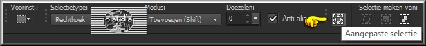 Activeer het Selectiegereedschap (toets S op het toetsenbord) - Aangepaste selectie