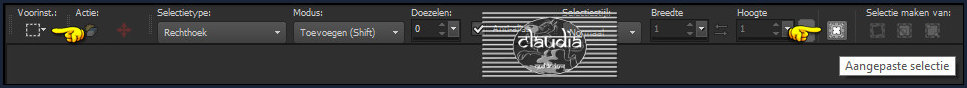 Activeer het Selectiegereedschap (toets S op het toetsenbord) - Aangepaste selectie
