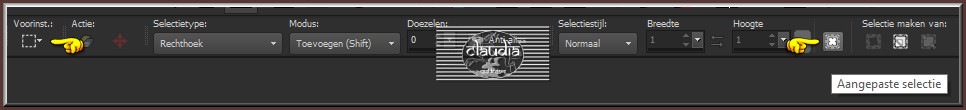 Activeer het Selectiegereedschap (toets S op het toetsenbord) - Aangepaste selectie