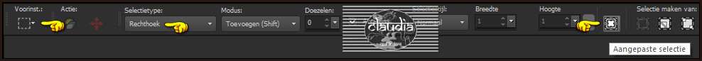 Activeer het Selectiegereedschap (toets S op het toetsenbord) - Aangepaste selectie