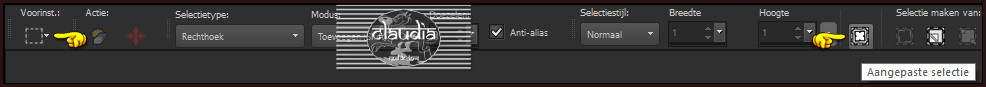 Activeer het Selectiegereedschap (toets S op het toetsenbord) - Aangepaste selectie