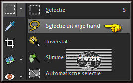 Activeer het Selectiegereedschap - Uit vrije hand (= lasso) - Vam punt tot punt