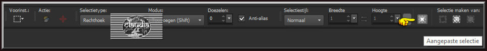 Activeer het Selectiegereedschap (toets S op het toetsenbord) - Aangepaste selectie