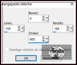 Activeer het Selectiegereedschap (toets S op het toetsenbord) - Aangepaste selectie en voer deze getallen in