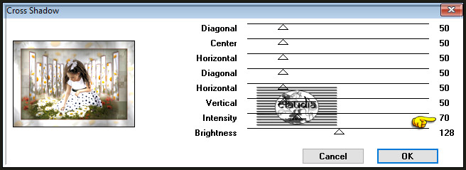 Effecten - Insteekfilters - Graphics Plus - Cross Shadow