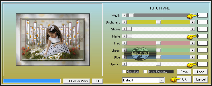 Effecten - Insteekfilters - AAA Frames - Foto Frame 