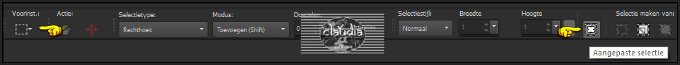 Activeer het Selectiegereedschap (toets S op het toetsenbord) - Aangepaste selectie