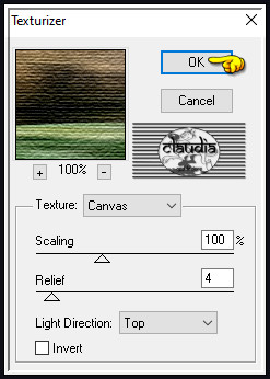 Effecten - Insteekfilters - Textures - Texturizer