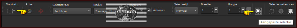 Activeer het Selectiegereedschap (toets S op het toetsenbord) - Aangepaste selectie