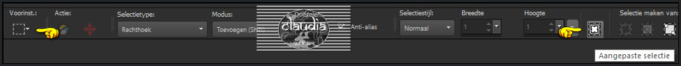 Activeer het Selectiegereedschap (toets S op het toetsenbord) - Aangepaste selectie