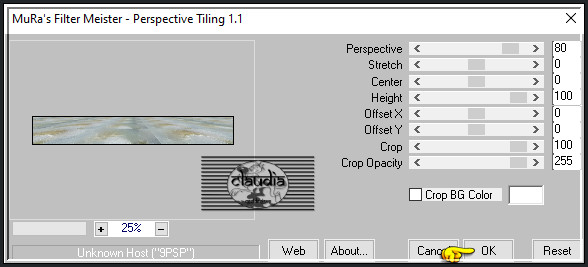 Effecten - Insteekfilters - MuRa's Meister - Perspective Tiling