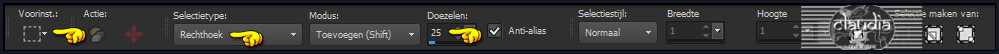 Activeer het "Selectiegereedschap" (Toets S) - Rechthoek met deze instellingen