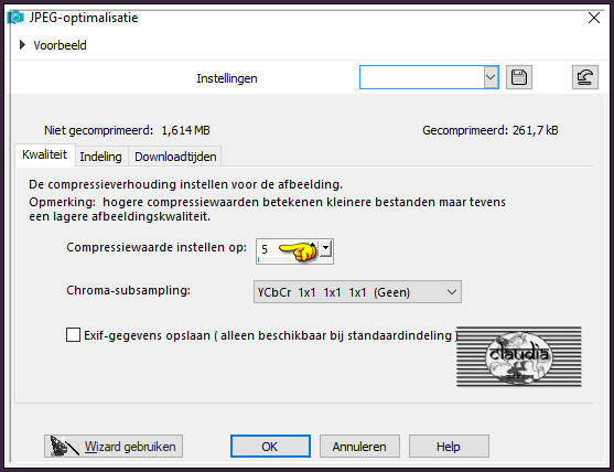 Sla je werkje op als JPG-Formaat met een compressiewaarde van 5