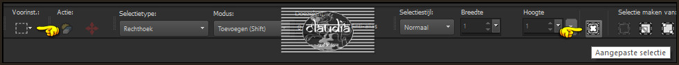 Activeer het Selectiegereedschap (toets S op het toetsenbord) - Aangepaste selectie