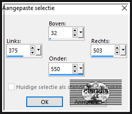 Activeer het Selectiegereedschap (toets S op het toetsenbord) - Aangepaste selectie en voer deze getallen in