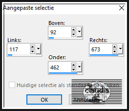 Activeer het Selectiegereedschap (toets S op het toetsenbord) - Aangepaste selectie en voer deze getallen in