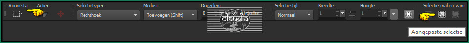 Activeer het Selectiegereedschap (toets S op het toetsenbord) - Aangepaste selectie