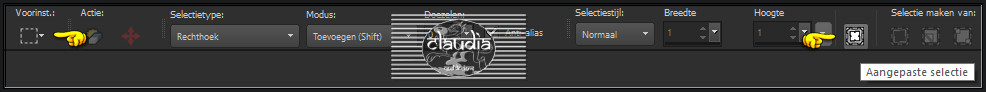 Activeer het Selectiegereedschap (toets S op het toetsenbord) - Aangepaste selectie