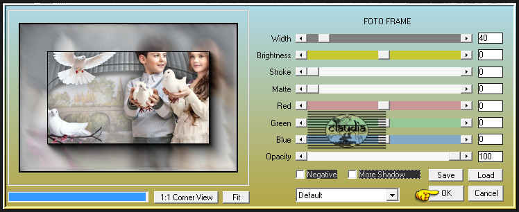 Effecten - Insteekfilters - AAA Frames - Foto Frame