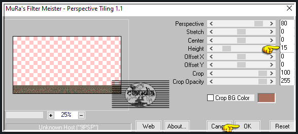 Effecten - Insteekfilters - MuRa's Meister - Perspective Tiling