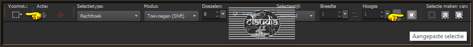 Activeer het Selectiegereedschap (toets S op het toetsenbord) - Aangepaste selectie