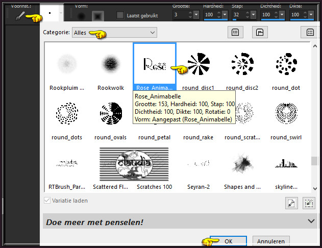 Activeer het "Penseelgereedschap" en zoek de Brushe "Rose_Animabelle" met deze instellingen