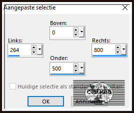 Activeer het Selectiegereedschap (toets S op het toetsenbord) - Aangepaste selectie en voer deze getallen in