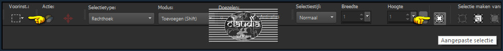 Activeer het Selectiegereedschap (toets S op het toetsenbord) - Aangepaste selectie