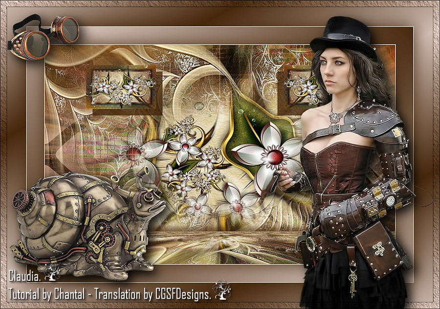 Les : Steampunk van Chantal