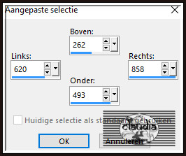 Activeer het Selectiegereedschap (toets S op het toetsenbord) - Aangepaste selectie en voer deze getallen in