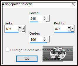 Activeer het Selectiegereedschap (toets S op het toetsenbord) - Aangepaste selectie en voer deze getallen in