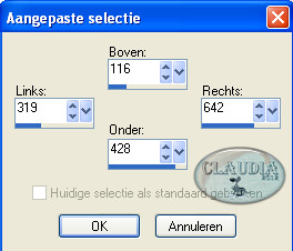 Instellingen aangepaste selectie