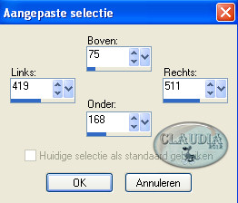 Instellingen Aangepaste selectie