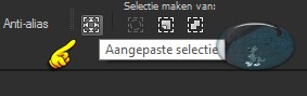 Aangepaste selectie