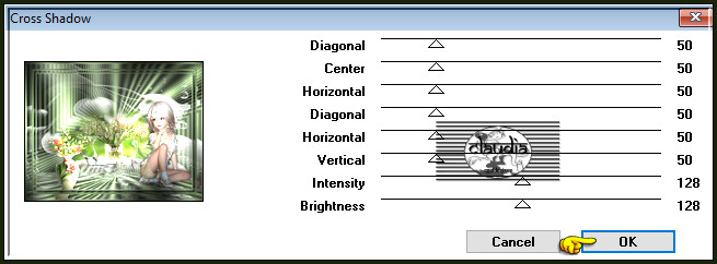 Effecten - Insteekfilters - Graphics Plus - Cross Shadow :