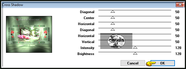 Effecten - Insteekfilters - Graphics Plus - Cross Shadow