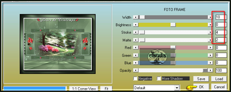 Effecten - Insteekfilters - AAA Frames - Foto Frame