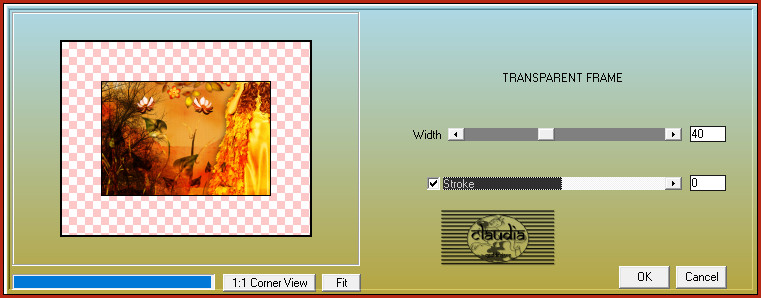 Effecten - Insteekfilters - AAA Frames - Transparent Frame