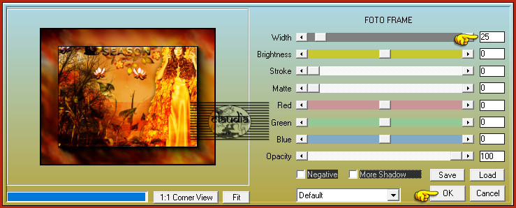 Effecten - Insteekfilters - AAA Frames - Foto Frame