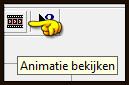 Je kunt de animatie bekijken door op deze button te klikken