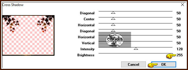 Effecten - Insteekfilters - Graphics Plus - Cross Shadow