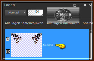 Lagen - Eigenschappen : Hernoem deze laag "Animatie"