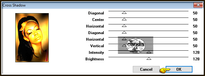 Effecten - Insteekfilters - Graphics Plus - Cross Shadow 