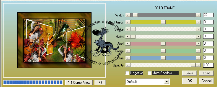 Effecten - Insteekfilters - AAA Frames - Foto Frame