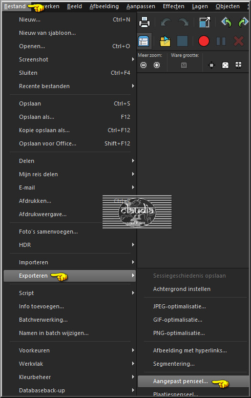 Bestand - Exporteren - Aangepast penseel