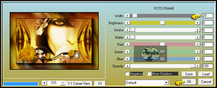 Effecten - Insteekfilters - AAA Frames - Foto Frame :