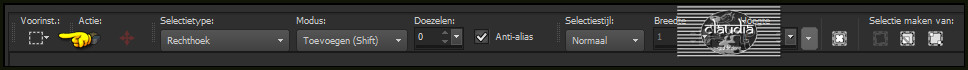 Activeer het Selectiegereedschap (toets S op toetsenbord) - Rechthoek