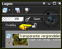 Ga naar het Lagenpallet en klik op het hangslotje om te transparantie te vergrendelen van deze laag