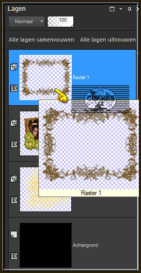 Activeer de 4de laag onderaan in het Lagenpallet (= Raster 1) :