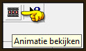 Animatie bekijken
